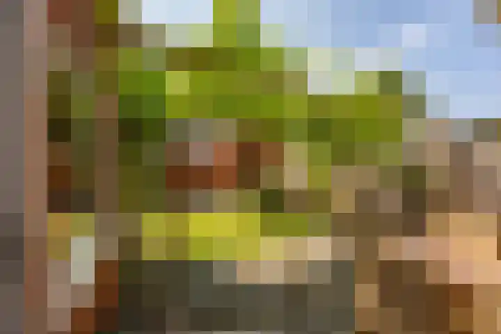Gorechtkade 142 Groningen thumbnail 27