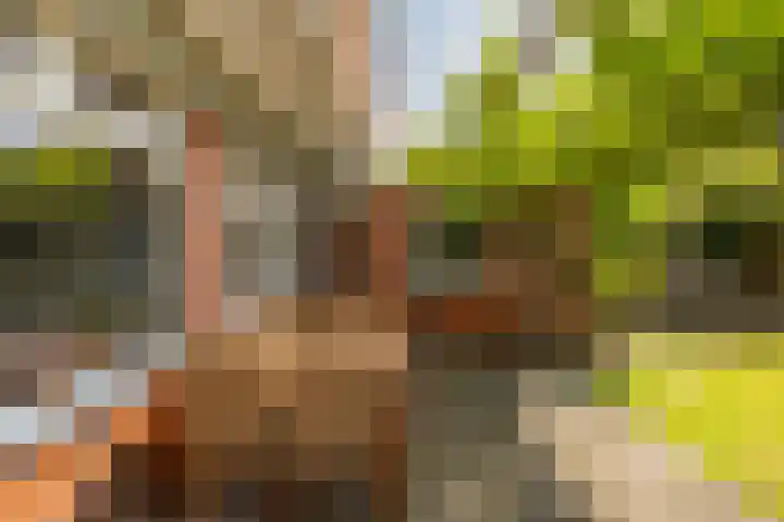 Gorechtkade 142 Groningen thumbnail 28
