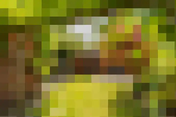 Gorechtkade 142 Groningen thumbnail 29
