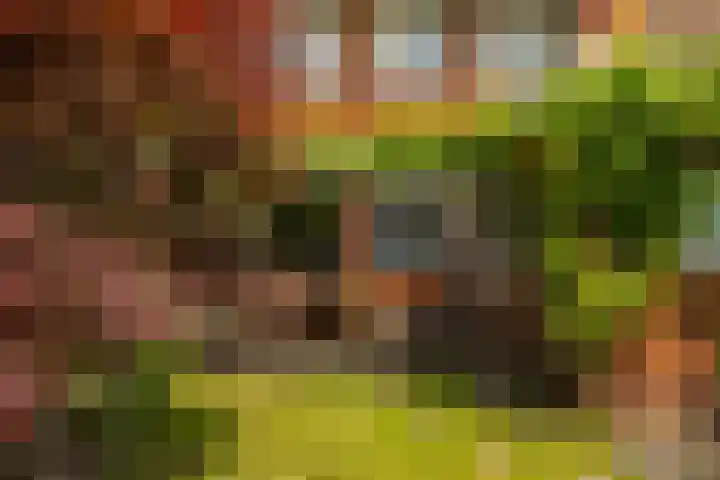 Gorechtkade 142 Groningen thumbnail 30