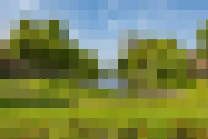 Gorechtkade 142 Groningen thumbnail 31