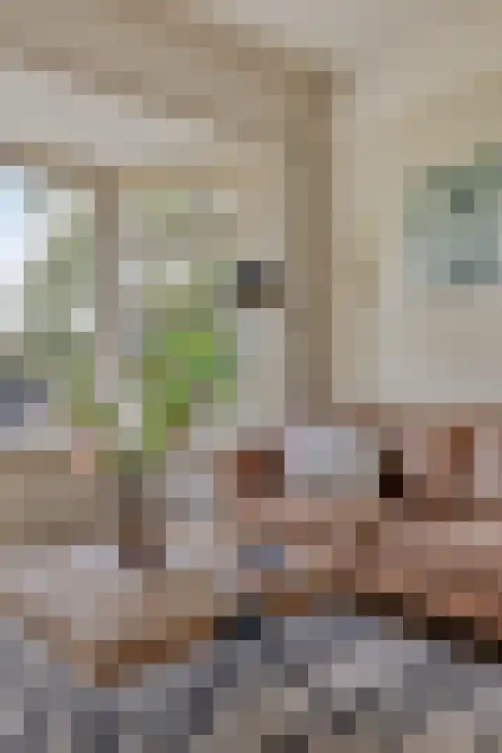 Gorechtkade 146 b Groningen thumbnail 11