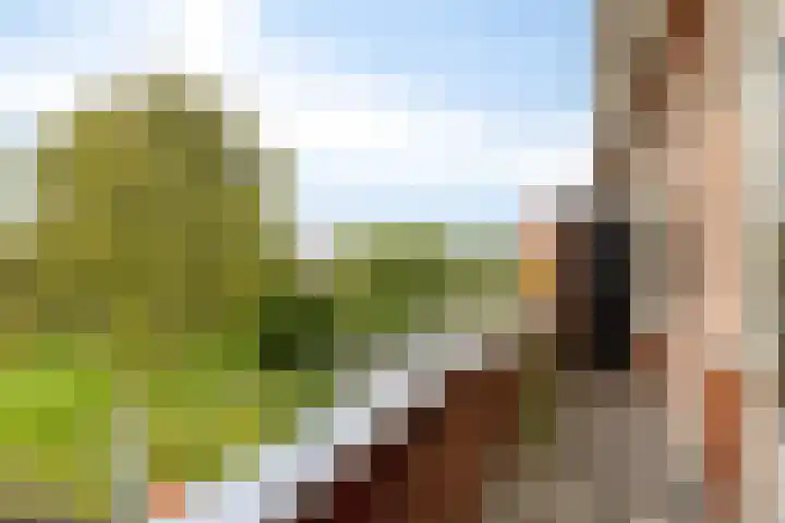 Gorechtkade 146 b Groningen thumbnail 18