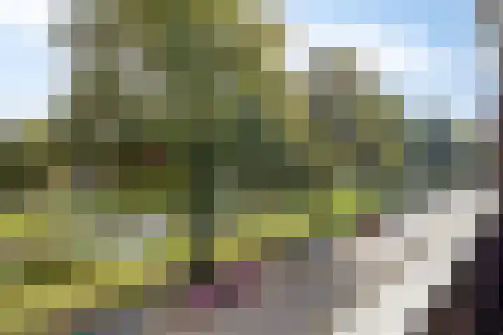 Gorechtkade 146 b Groningen thumbnail 26