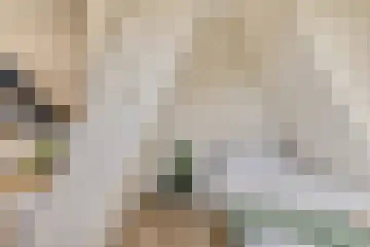 Gorechtkade 146 b Groningen thumbnail 37