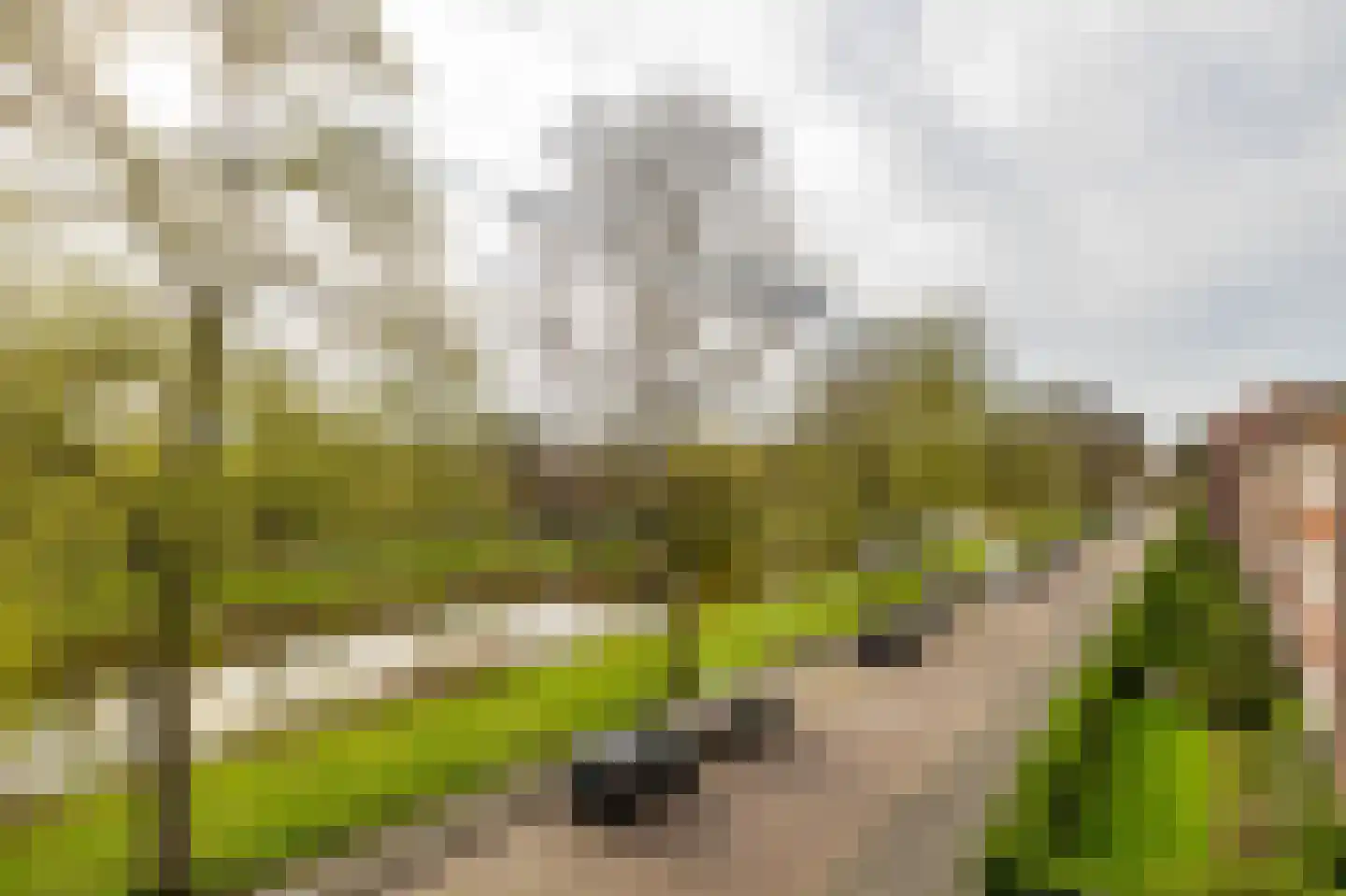 Gorechtkade 15 b Groningen thumbnail 5