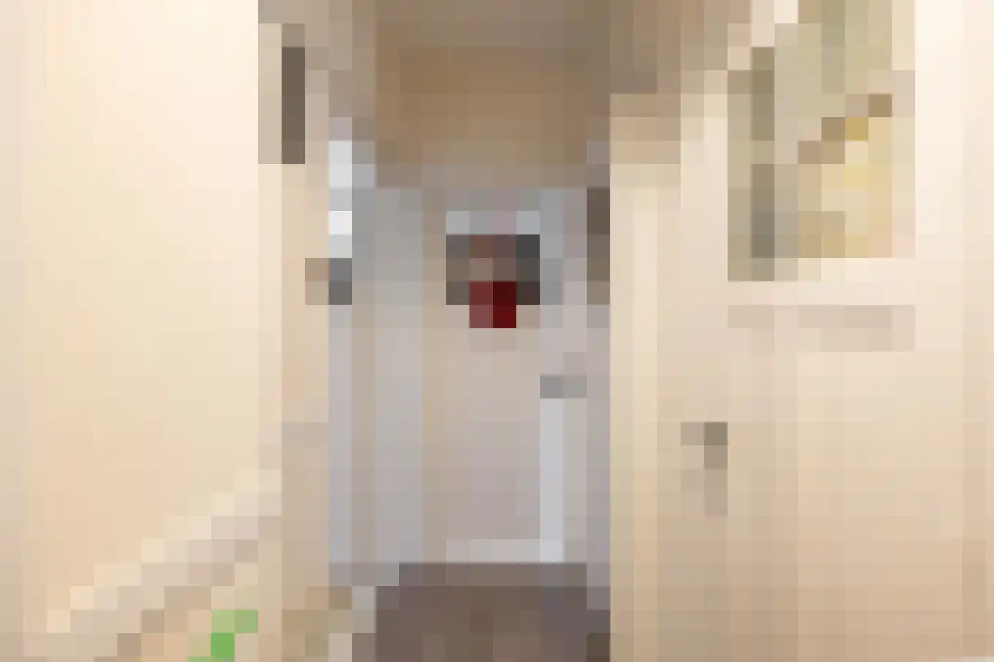 Gorechtkade 152 a Groningen thumbnail 9