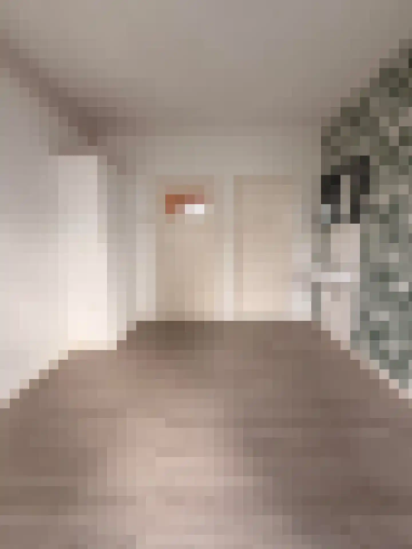 Gorechtkade 157 Groningen thumbnail 12