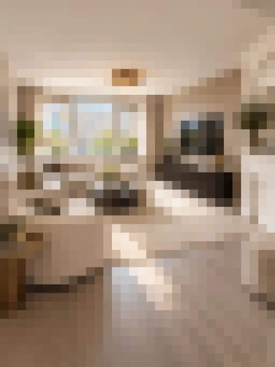 Gorechtkade 157 Groningen thumbnail 28