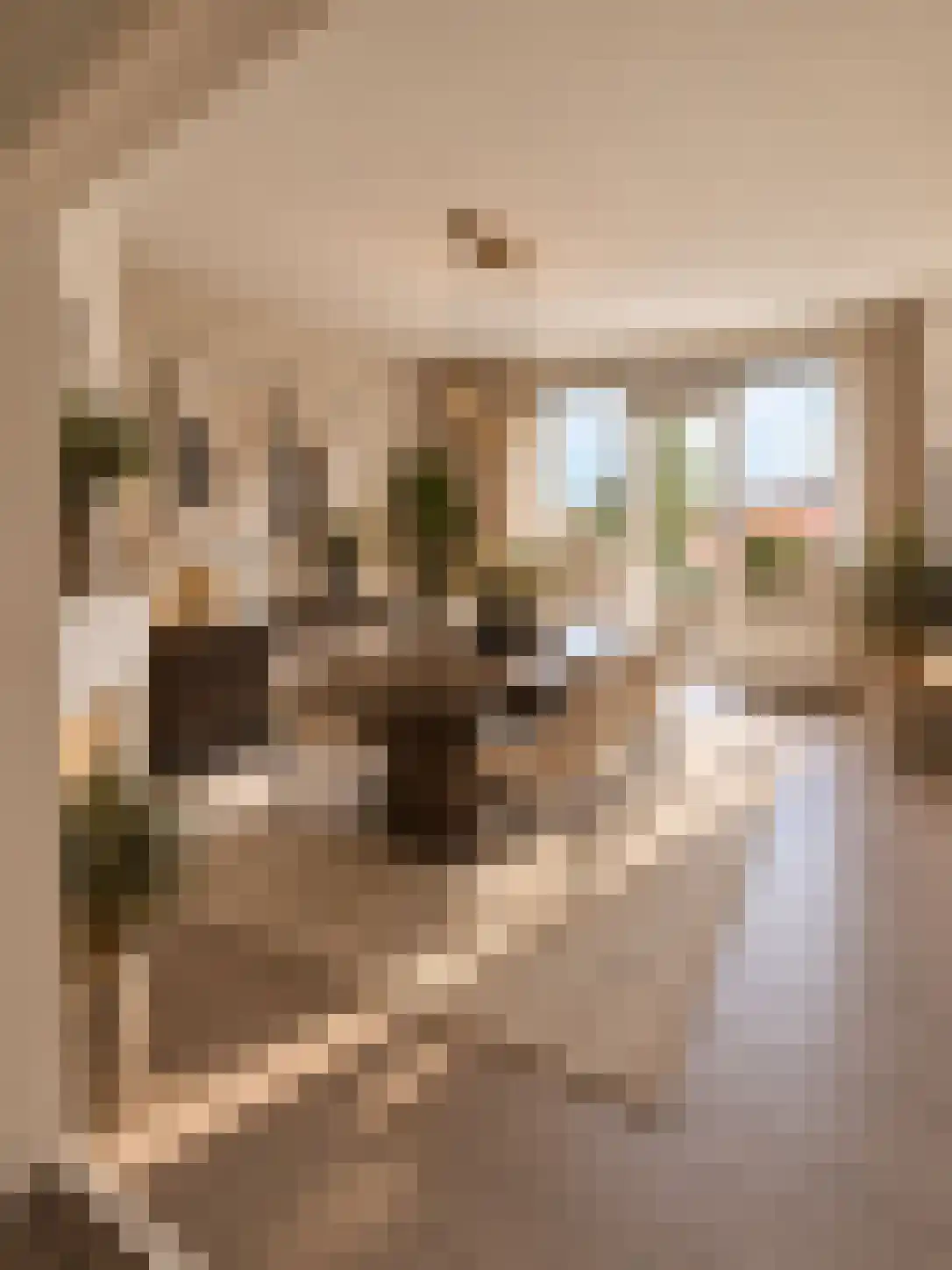 Gorechtkade 157 Groningen thumbnail 30