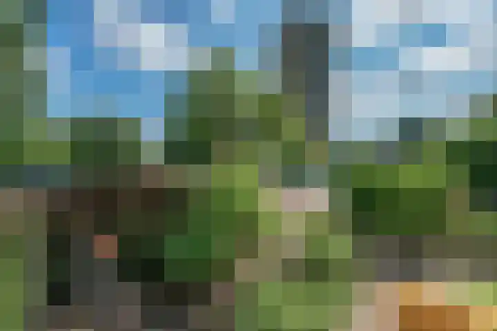Gorechtkade 186 Groningen thumbnail 5