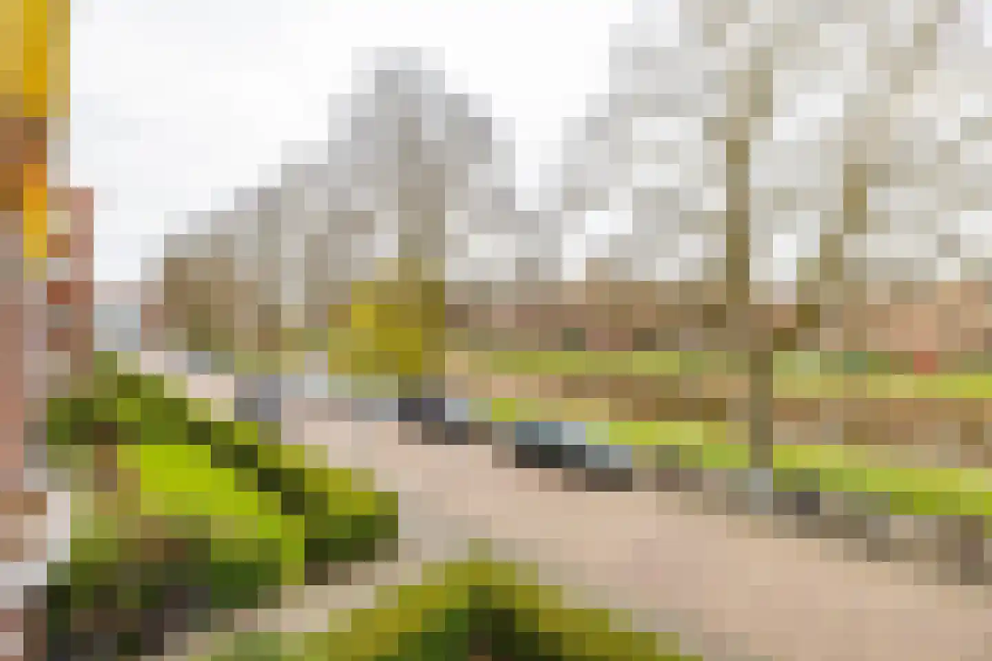 Gorechtkade 23 a Groningen thumbnail 32