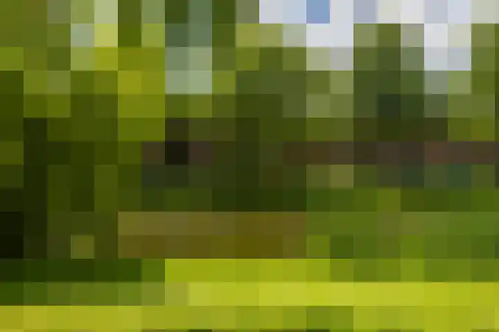 Gorechtkade 25 a Groningen thumbnail 32