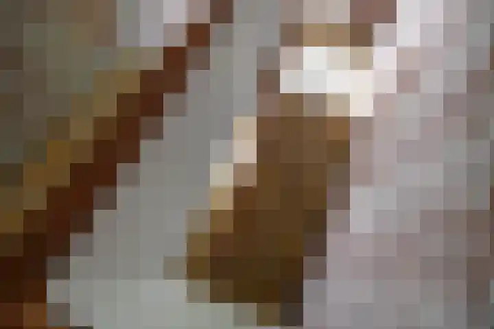 Gorechtkade 25 a Groningen thumbnail 5