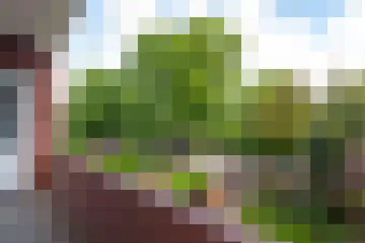 Gorechtkade 33 a Groningen thumbnail 23