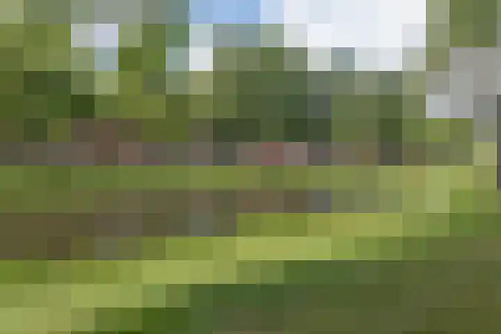 Gorechtkade 33 a Groningen thumbnail 33
