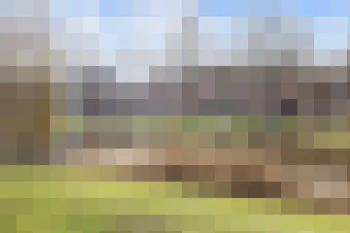 Gorechtkade 34 c Groningen thumbnail 34
