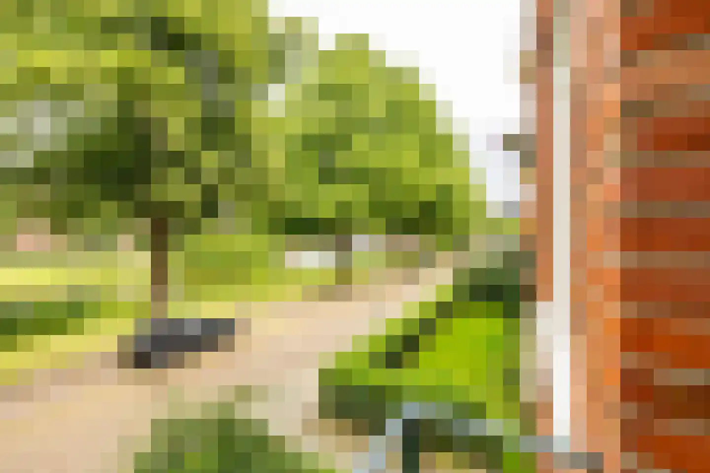 Gorechtkade 36 a Groningen thumbnail 20