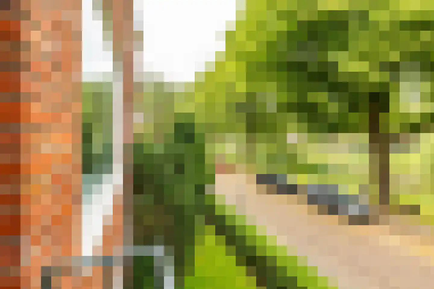 Gorechtkade 36 a Groningen thumbnail 21