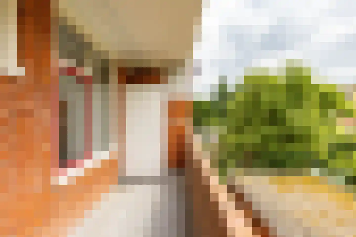 Gorechtkade 36 a Groningen thumbnail 25