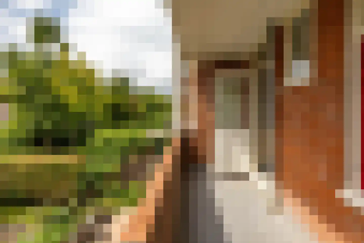 Gorechtkade 36 a Groningen thumbnail 26