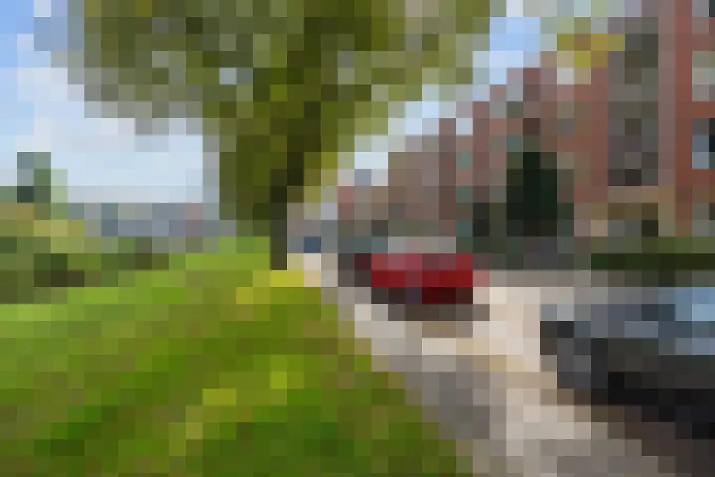 Gorechtkade 38 b Groningen thumbnail 16