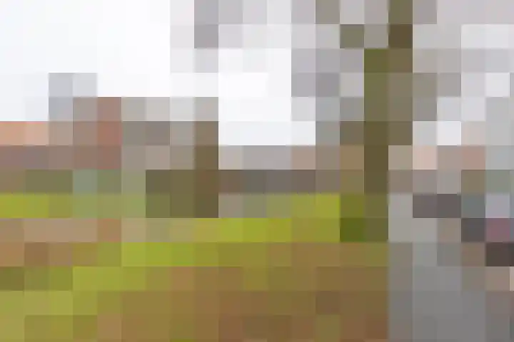 Gorechtkade 38 c Groningen thumbnail 31