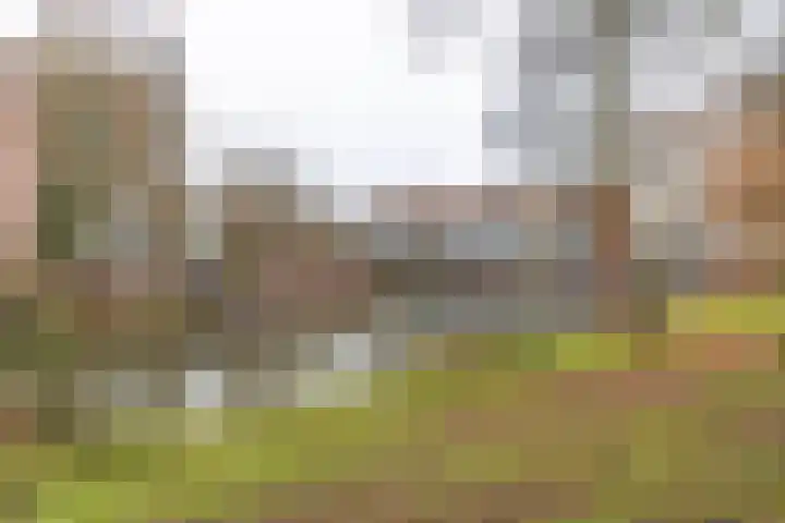Gorechtkade 38 c Groningen thumbnail 33