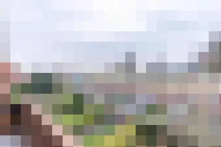 Gorechtkade 38 c Groningen thumbnail 36