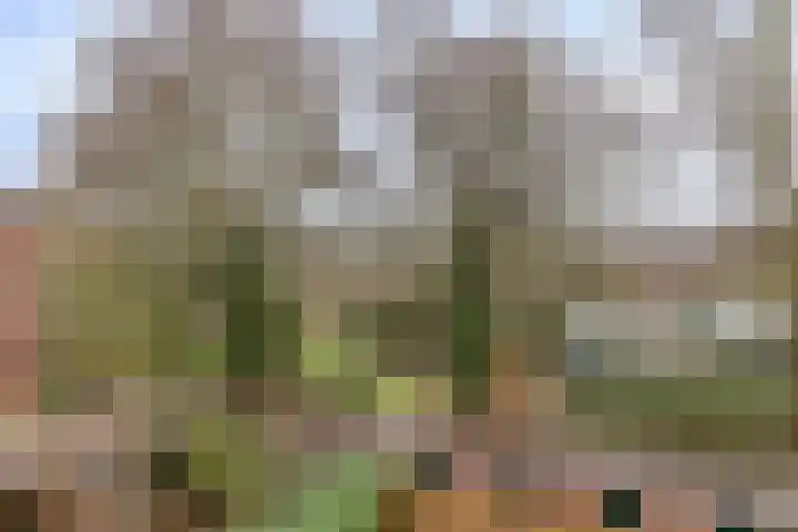 Gorechtkade 39 b Groningen thumbnail 14