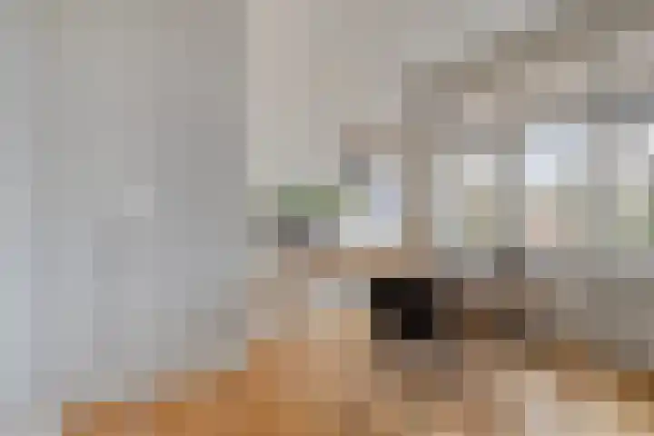 Gorechtkade 39 b Groningen thumbnail 16