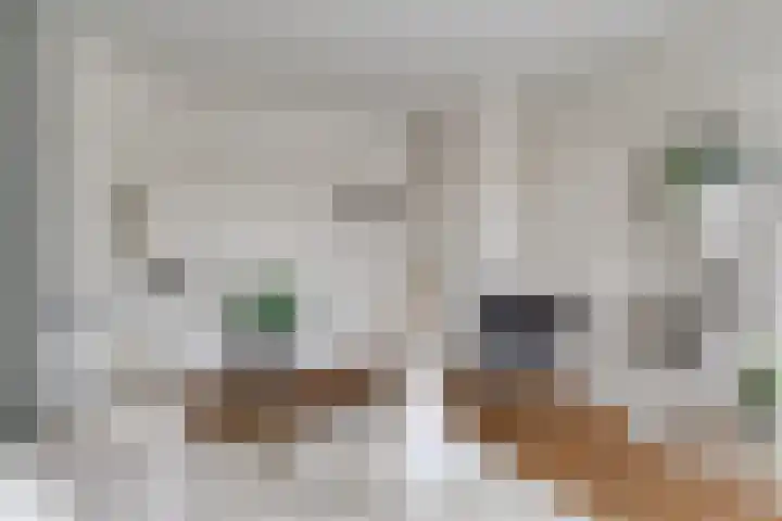 Gorechtkade 39 b Groningen thumbnail 7