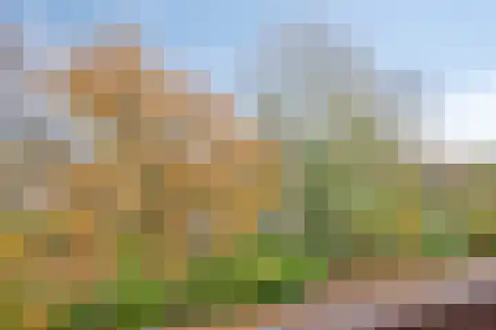 Gorechtkade 39 c Groningen thumbnail 23