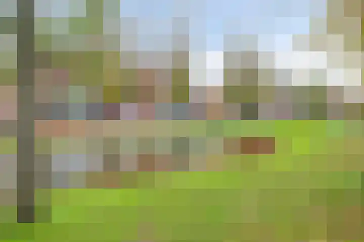 Gorechtkade 39 c Groningen thumbnail 43