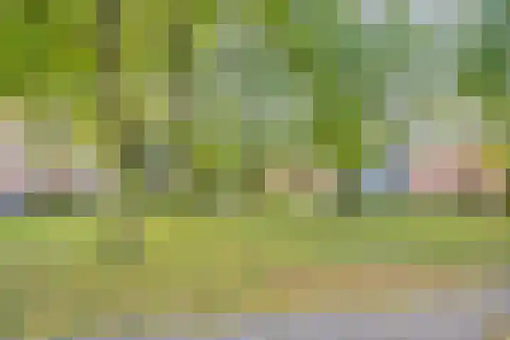 Gorechtkade 39 c Groningen thumbnail 46