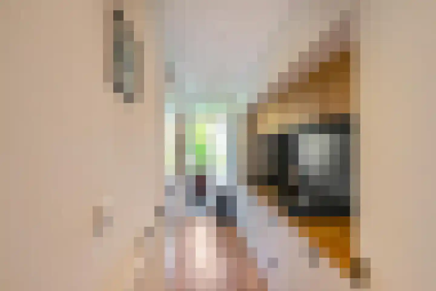 Gorechtkade 40 a Groningen thumbnail 22