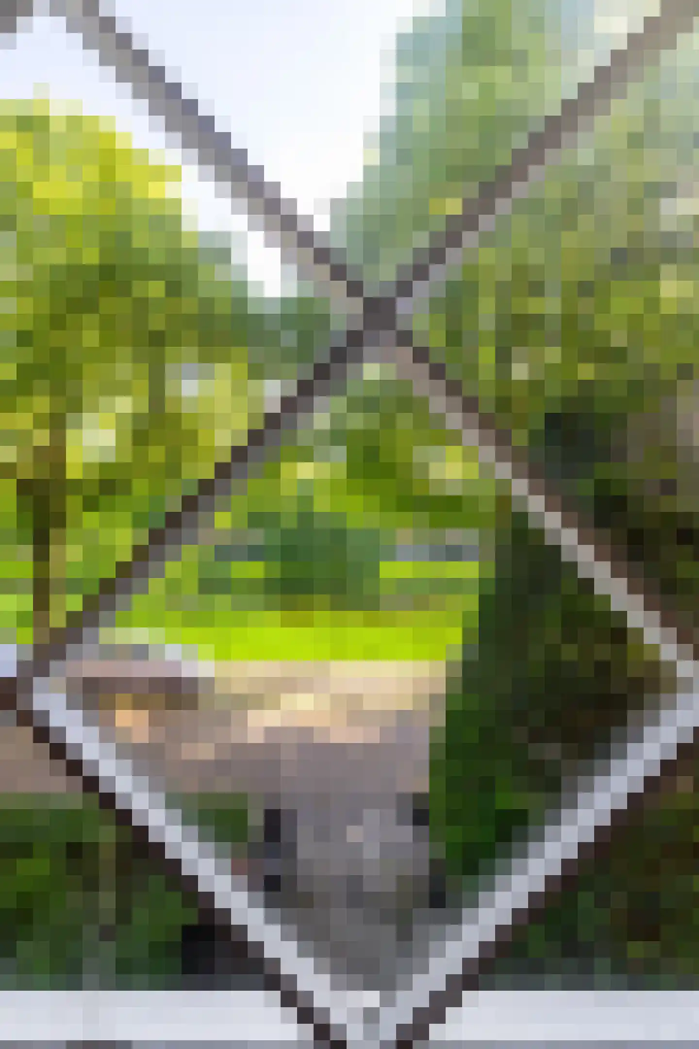 Gorechtkade 40 a Groningen thumbnail 6