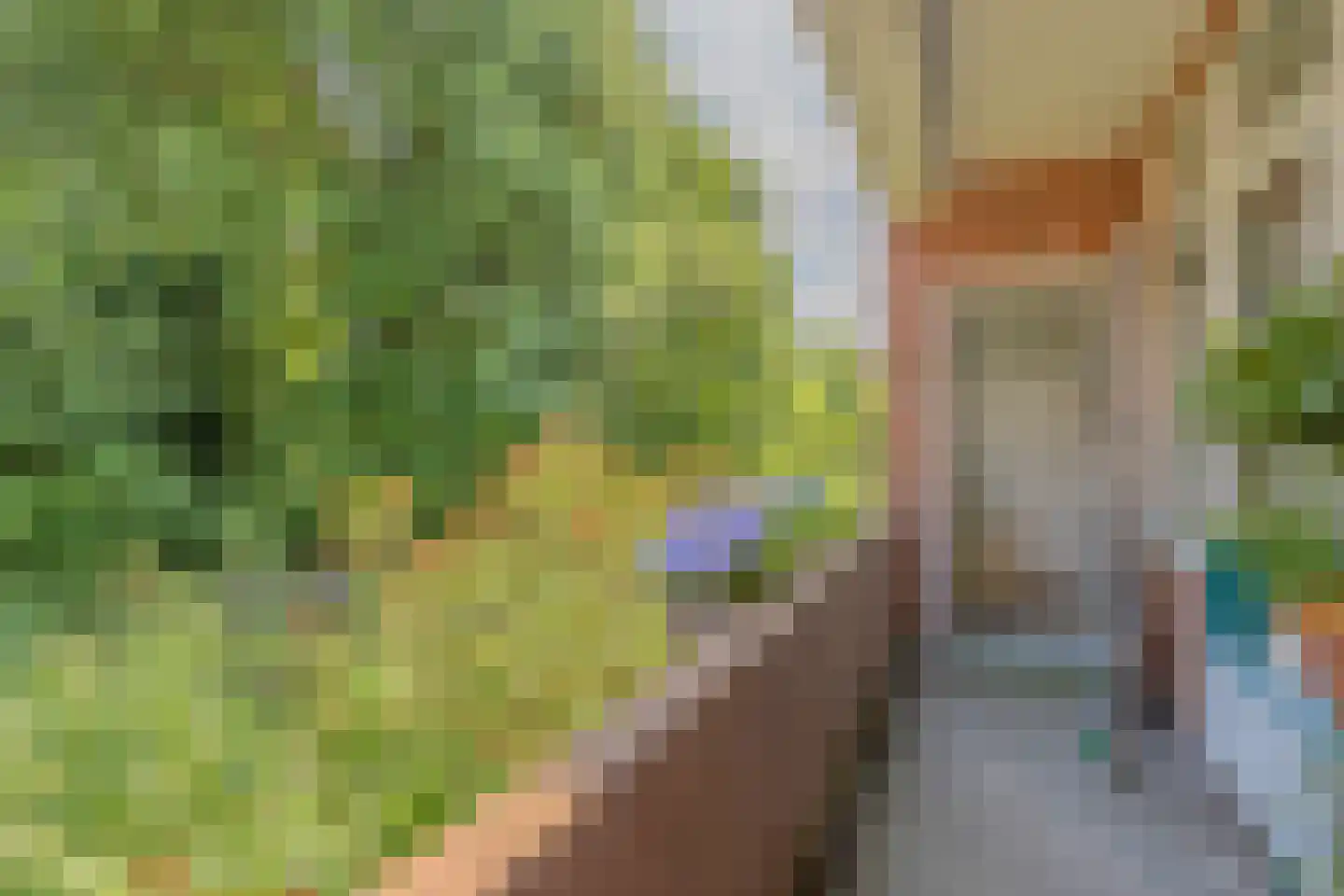 Gorechtkade 43 a Groningen thumbnail 19