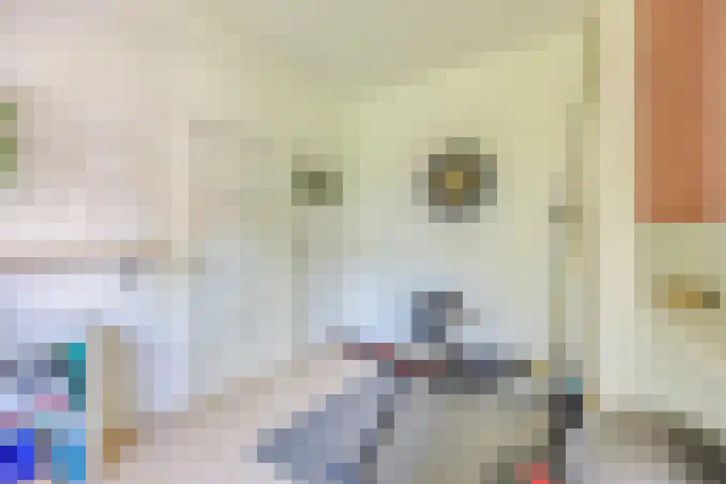 Gorechtkade 43 a Groningen thumbnail 23