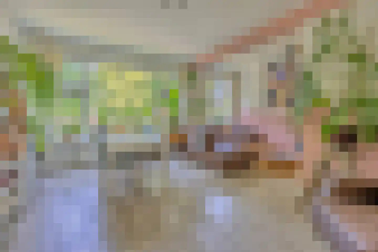 Gorechtkade 43 a Groningen thumbnail 9