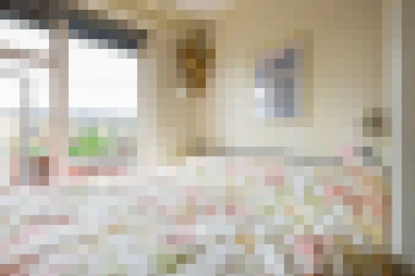 Gorechtkade 46 b Groningen thumbnail 29
