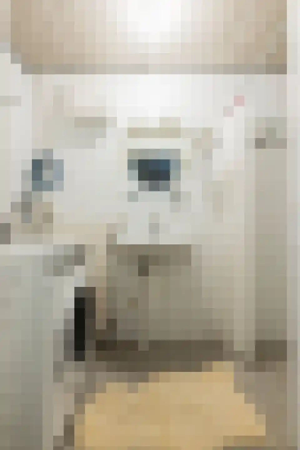 Gorechtkade 46 b Groningen thumbnail 35