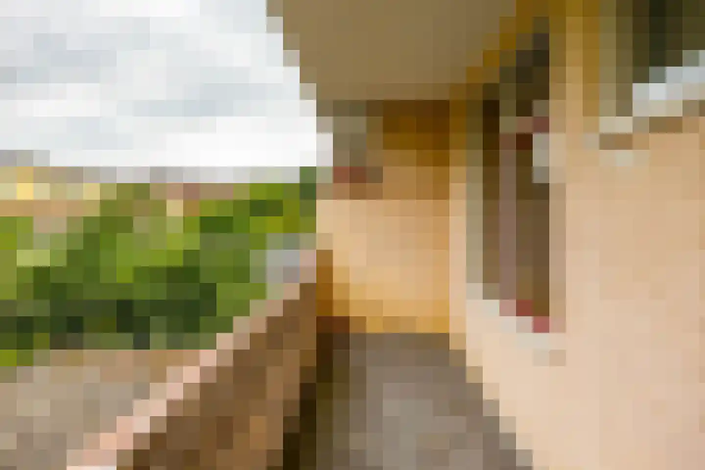 Gorechtkade 58 a Groningen thumbnail 24