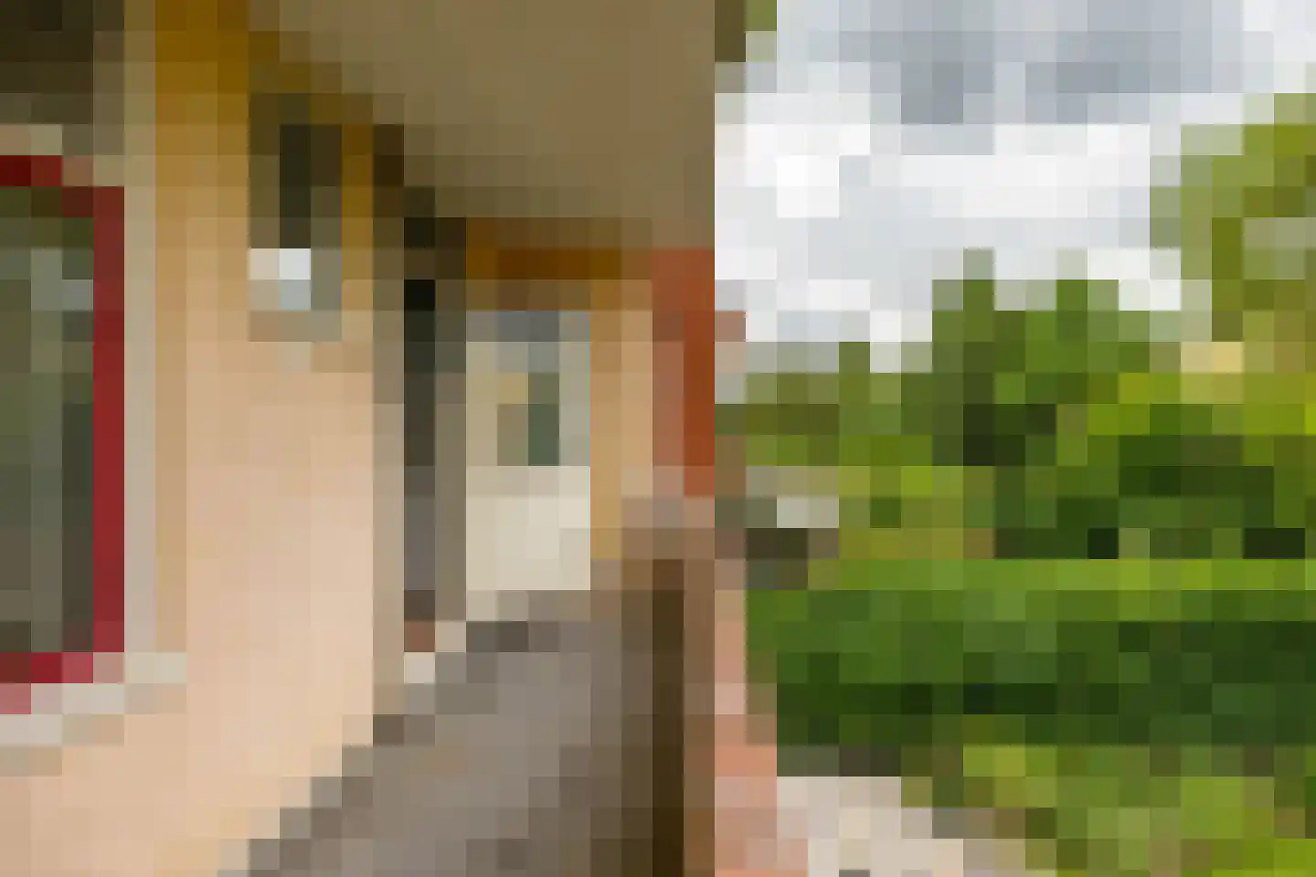 Gorechtkade 58 a Groningen thumbnail 25