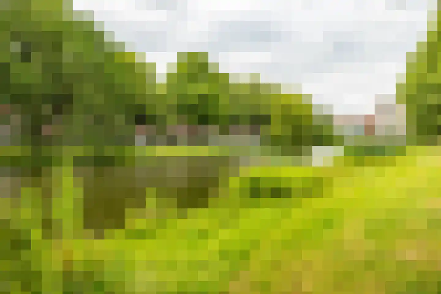 Gorechtkade 58 a Groningen thumbnail 7