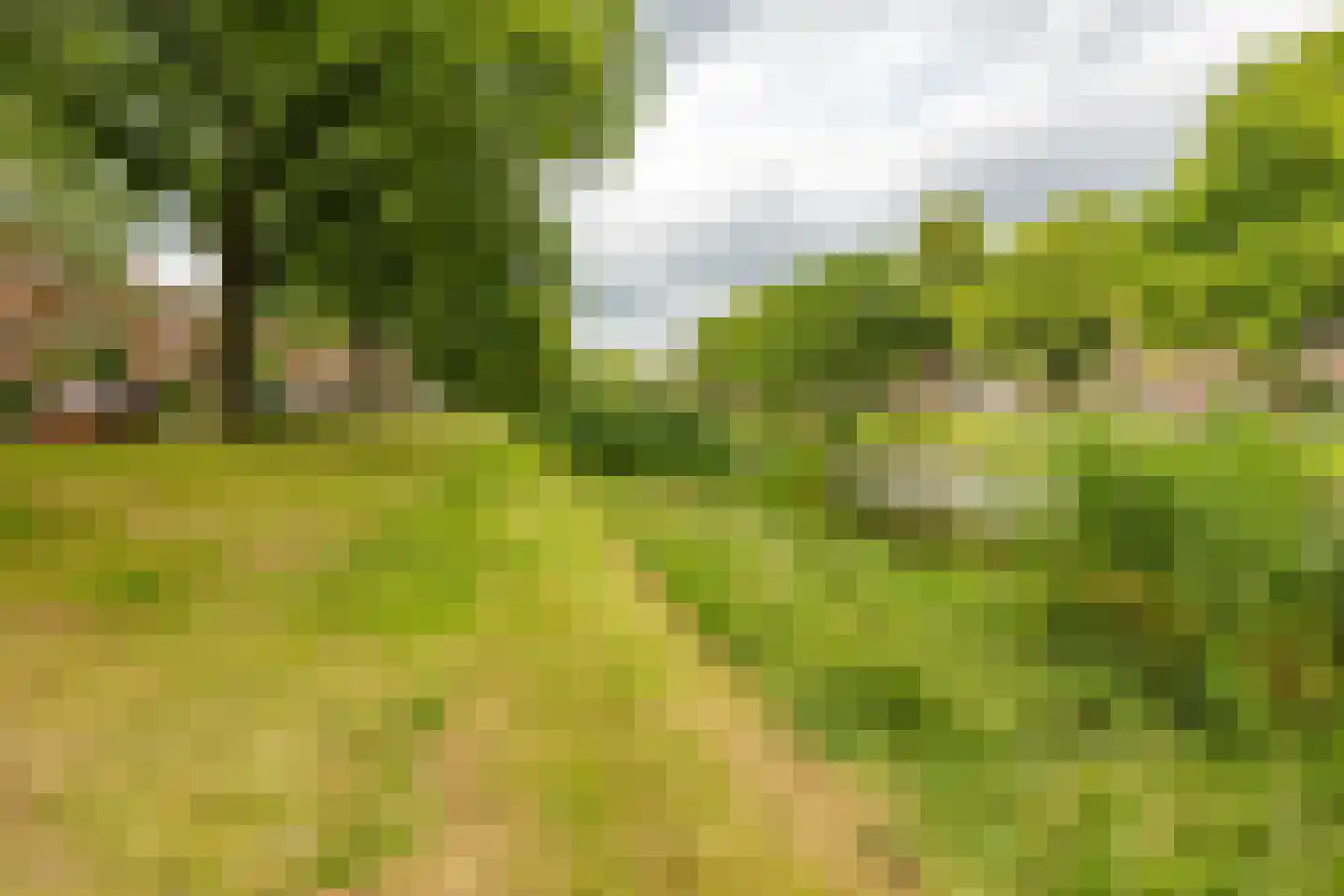 Gorechtkade 58 a Groningen thumbnail 8