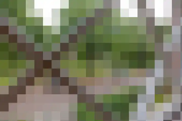 Gorechtkade 66 a Groningen thumbnail 10
