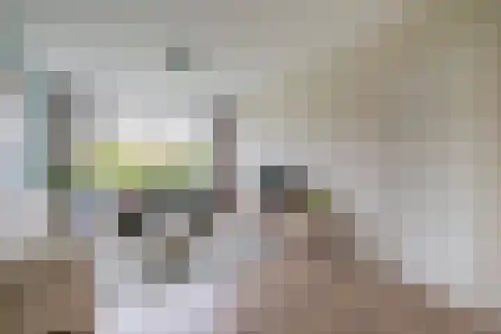 Gorechtkade 66 a Groningen thumbnail 13