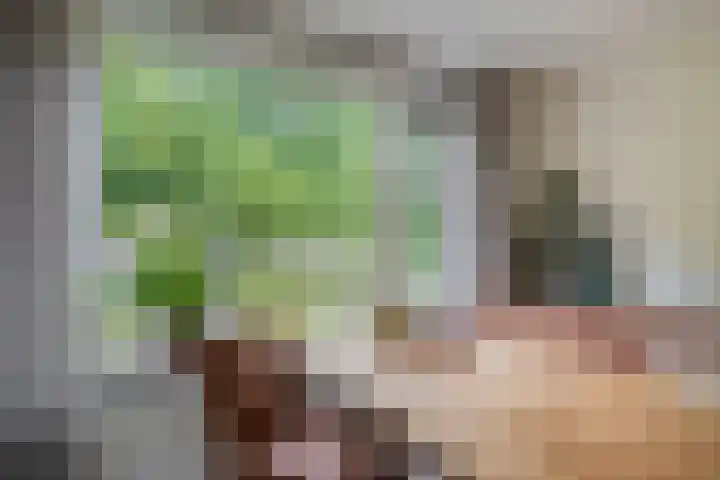 Gorechtkade 66 a Groningen thumbnail 15