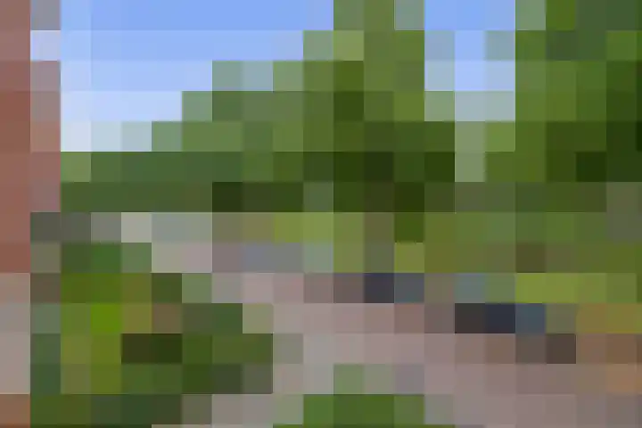 Gorechtkade 66 a Groningen thumbnail 18